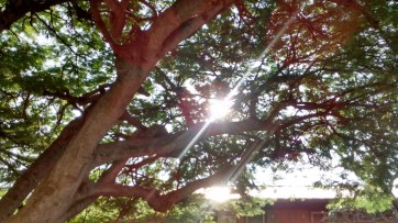 16126496048_0ca623d495_k