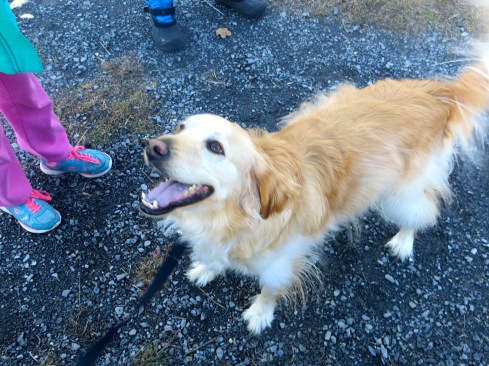 18406952112_0e8a191cae_o