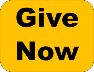 Give-Now-Button-1